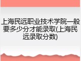 上海民远职业技术学院一般要多少分才能录取(上海民远录取分数)