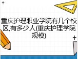 重庆护理职业学院有几个校区,有多少人(重庆护理学院规模)