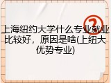 上海纽约大学什么专业就业比较好，原因是啥(上纽大优势专业)