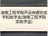 湖南工程学院开设有哪些奖学和助学金(湖南工程学院奖助学金)