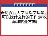青岛农业大学海都学院毕业可以找什么样的工作(青农海都就业方向)