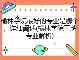 榆林学院最好的专业是哪个，详细阐述(榆林学院王牌专业解析)