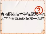 青岛职业技术学院是双一流大学吗?(青岛职院双一流吗)