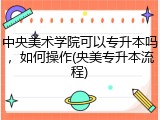 中央美术学院可以专升本吗，如何操作(央美专升本流程)