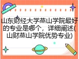 山东财经大学燕山学院最好的专业是哪个，详细阐述(山财燕山学院优势专业)