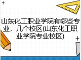 山东化工职业学院有哪些专业，几个校区(山东化工职业学院专业校区)