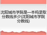 沈阳城市学院是一本吗录取分数线多少(沈阳城市学院分数线)