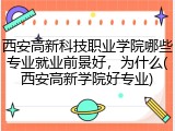 西安高新科技职业学院哪些专业就业前景好，为什么(西安高新学院好专业)