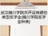 武汉晴川学院共开设有哪些类型奖学金(晴川学院奖学金种类)