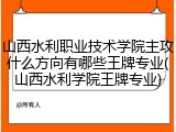 山西水利职业技术学院主攻什么方向有哪些王牌专业(山西水利学院王牌专业)
