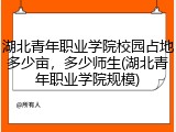 湖北青年职业学院校园占地多少亩，多少师生(湖北青年职业学院规模)