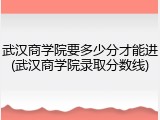 武汉商学院要多少分才能进(武汉商学院录取分数线)