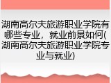 湖南高尔夫旅游职业学院有哪些专业，就业前景如何(湖南高尔夫旅游职业学院专业与就业)