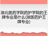 湖北医药学院药护学院的王牌专业是什么(湖医药护王牌专业)