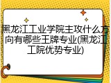 黑龙江工业学院主攻什么方向有哪些王牌专业(黑龙江工院优势专业)
