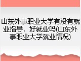 山东外事职业大学有没有就业指导，好就业吗(山东外事职业大学就业情况)