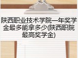 陕西职业技术学院一年奖学金最多能拿多少(陕西职院最高奖学金)