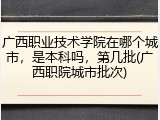 广西职业技术学院在哪个城市，是本科吗，第几批(广西职院城市批次)