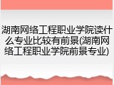 湖南网络工程职业学院读什么专业比较有前景(湖南网络工程职业学院前景专业)