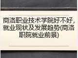 商洛职业技术学院好不好，就业现状及发展趋势(商洛职院就业前景)