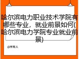 哈尔滨电力职业技术学院有哪些专业，就业前景如何(哈尔滨电力学院专业就业前景)