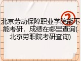 北京劳动保障职业学院能不能考研，成绩在哪里查询(北京劳职院考研查询)