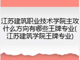 江苏建筑职业技术学院主攻什么方向有哪些王牌专业(江苏建筑学院王牌专业)