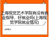 上海视觉艺术学院有没有就业指导，好就业吗(上海视觉学院就业情况)