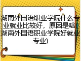 湖南外国语职业学院什么专业就业比较好，原因是啥(湖南外国语职业学院好就业专业)