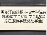 黑龙江旅游职业技术学院有哪些奖学金和助学金呢(黑龙江旅游学院奖助学金)