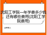 沈阳工学院一年学费多少钱，还有哪些费用(沈阳工学院费用)