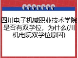 四川电子机械职业技术学院是否有双学位，为什么(川机电院双学位原因)