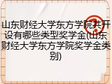 山东财经大学东方学院共开设有哪些类型奖学金(山东财经大学东方学院奖学金类别)