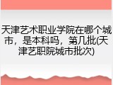 天津艺术职业学院在哪个城市，是本科吗，第几批(天津艺职院城市批次)