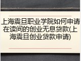 上海震旦职业学院如何申请在读间的创业无息贷款(上海震旦创业贷款申请)