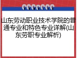 山东劳动职业技术学院的普通专业和特色专业详解(山东劳职专业解析)