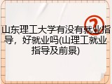 山东理工大学有没有就业指导，好就业吗(山理工就业指导及前景)