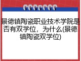 景德镇陶瓷职业技术学院是否有双学位，为什么(景德镇陶瓷双学位)