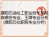 濮阳石油化工职业技术学院有哪些专业，王牌专业分析(濮阳石化职院专业分析)