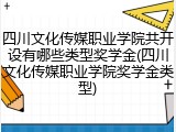 四川文化传媒职业学院共开设有哪些类型奖学金(四川文化传媒职业学院奖学金类型)