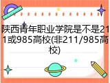 陕西青年职业学院是不是211或985高校(非211/985高校)