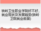 铁岭卫生职业学院好不好，就业现状及发展趋势(铁岭卫院就业前景)
