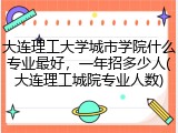 大连理工大学城市学院什么专业最好，一年招多少人(大连理工城院专业人数)