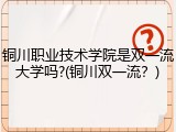 铜川职业技术学院是双一流大学吗?(铜川双一流？)