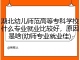 湖北幼儿师范高等专科学校什么专业就业比较好，原因是啥(幼师专业就业佳)
