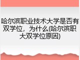 哈尔滨职业技术大学是否有双学位，为什么(哈尔滨职大双学位原因)