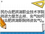 民办合肥滨湖职业技术学院师资力量怎么样，名气如何(合肥滨湖职院师资名气)
