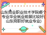 山东商业职业技术学院哪个专业毕业就业前景比较好(山东商职好就业专业)
