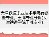 天津铁道职业技术学院有哪些专业，王牌专业分析(天津铁道学院王牌专业)
