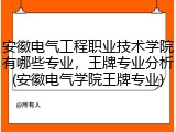 安徽电气工程职业技术学院有哪些专业，王牌专业分析(安徽电气学院王牌专业)
